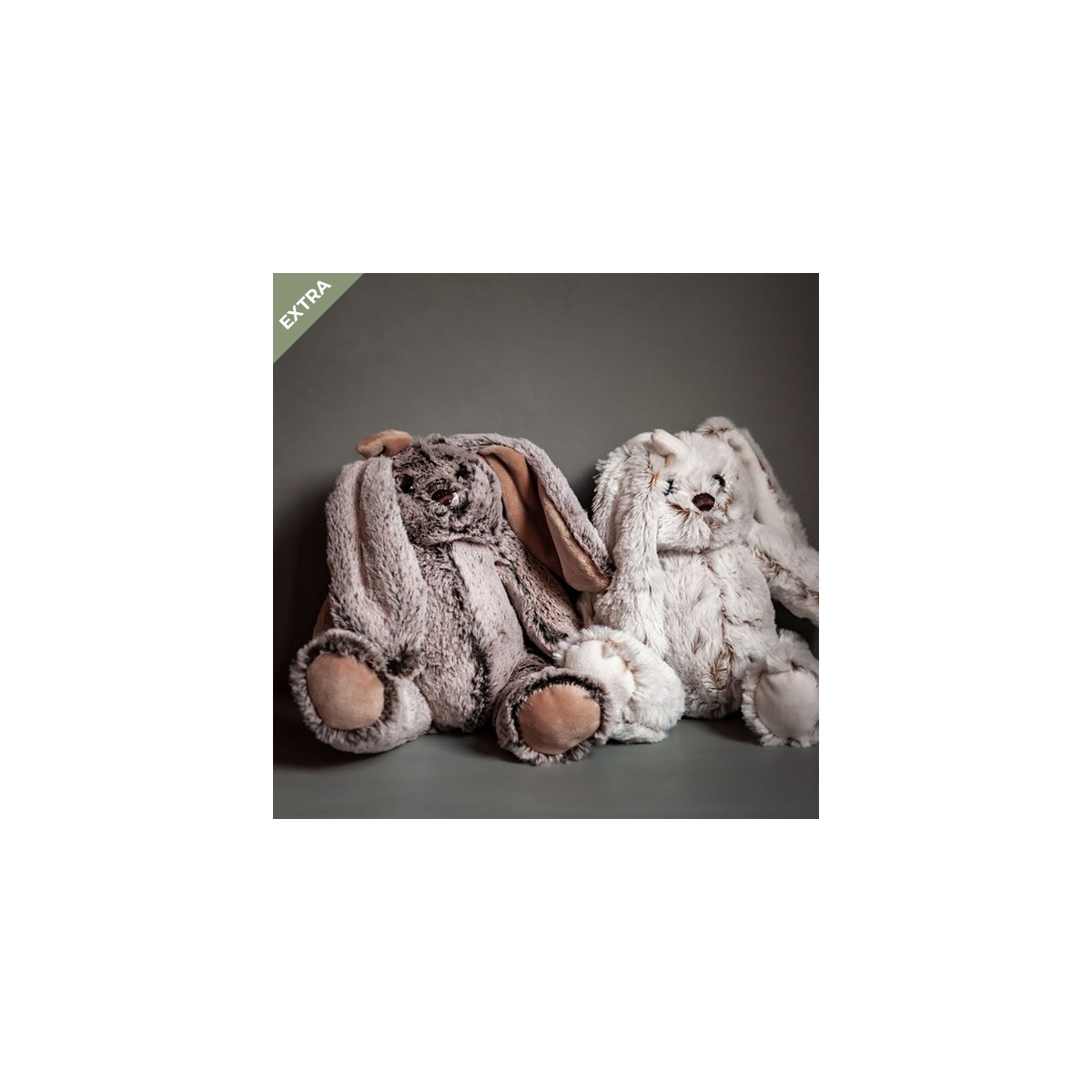 Inicial de flores preservadas