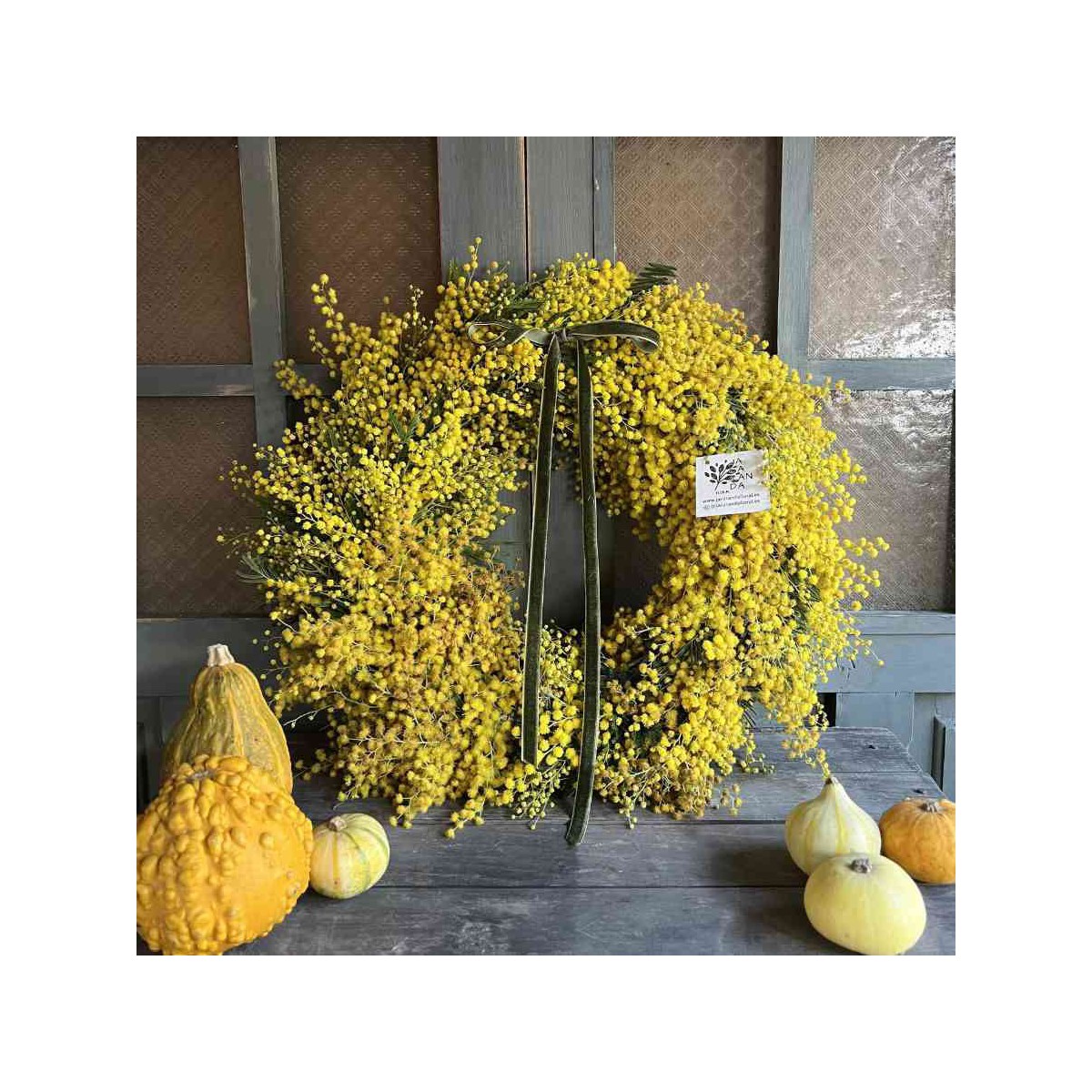 Taller corona de mimosas