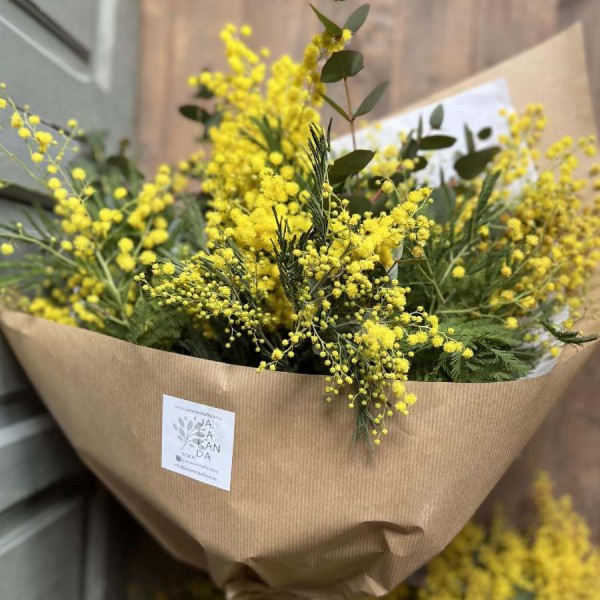 Ramo de flores mimosa