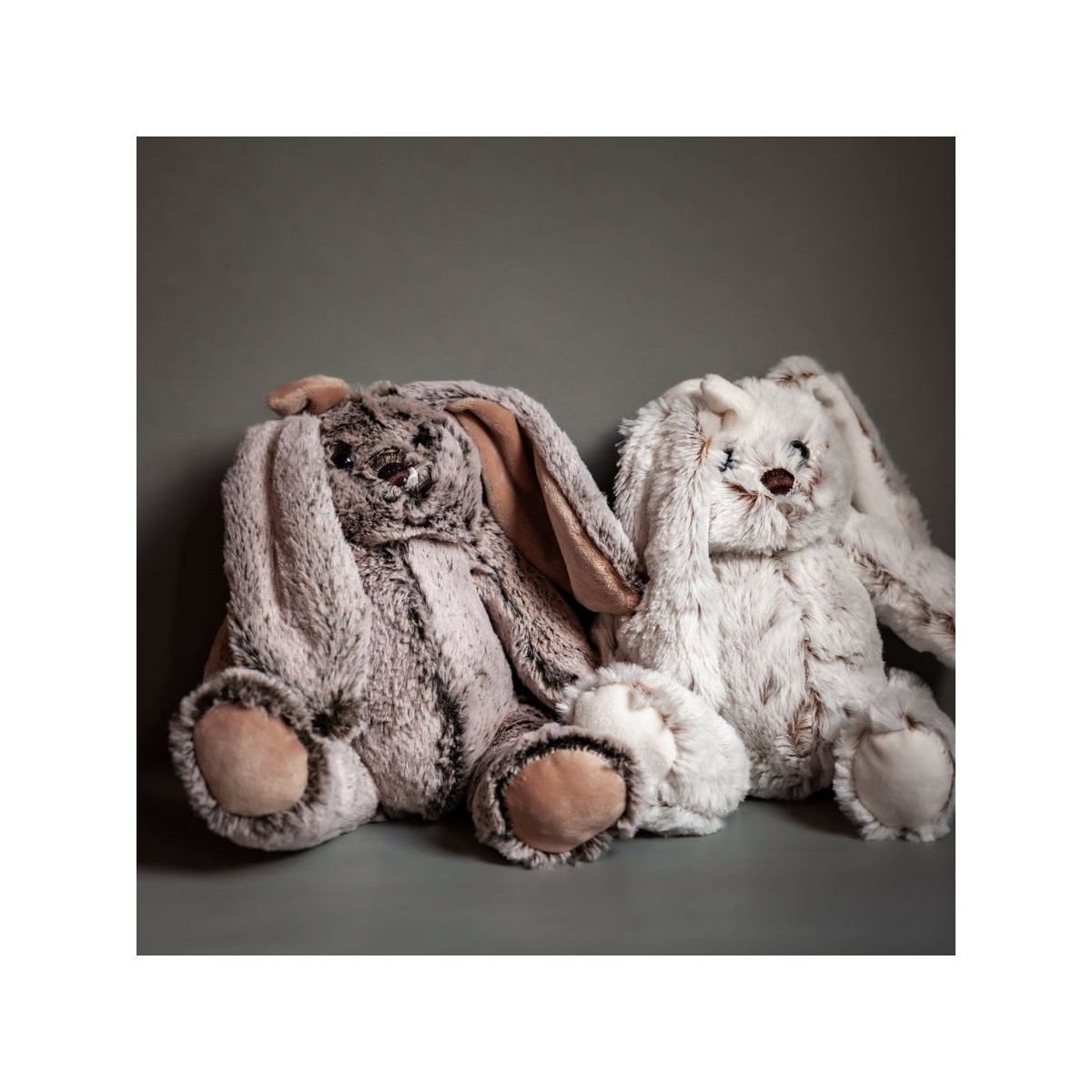 Flores alegres en sombrerera